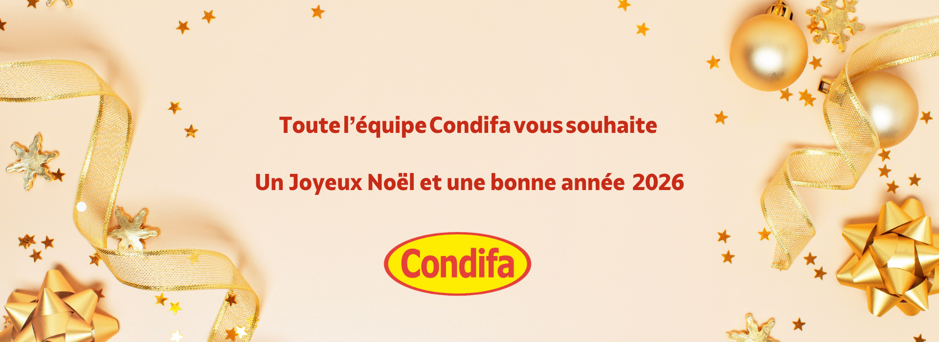 Toute l’équipe Condifa vous souhaite de très belles fêtes de fin d’année !