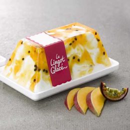 Recette de lingot glacé fleur de lait mangue passion - Condifa